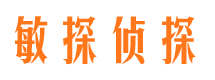 前进市私家侦探